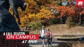 A Fall Season of Cougars on the campus of Southern Illinois University Edwardsville