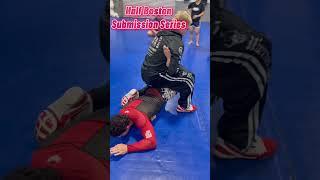 Half Boston Crab Submission Series from Catch Wrestling #bjj #jiujitsu #csw