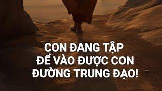 Lời Thầy: CON ĐANG TẬP ĐỂ CON VÀO CON ĐƯỜNG TRUNG ĐẠO.