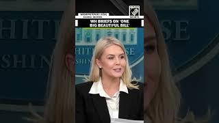 Largest tax cut in history: Why White House Secy Karoline Leavitt calls it ‘One Big Beautiful Bill’