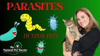 Top Natural Remedies For Parasites In Your Dogs & Cats - Holistic Vet Advice