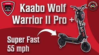 SURRON OF SCOOTERS! KAABO WOLF WARRIOR 11 PRO +