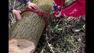 TREUIL FORESTIER MARY AGRI 4 TONNES AVEC RADIO