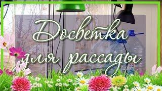 Свет для рассады с алиэкспресс / ДОСВЕТКА