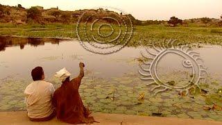 Planeta Encantado: 3 Los Señores del Agua