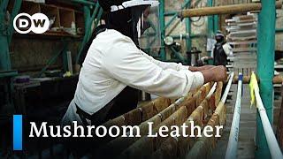 Vegan mushroom leather fashion from Indonesia | Global Ideas