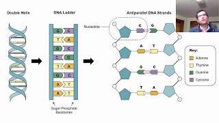 DNA for Forensic Science