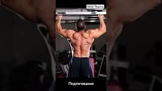 5 лучших упражнений. упражнения на спину