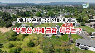 캐나다 은행 금리 인하 후에도 부동산 거래 급감, 이유는? #캐나다