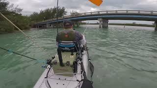 Anna Maria Kayak fishing Hobie Lynx