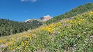 Lone Cone Peak from FS 612