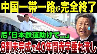 【総集編】インドネシア高速鉄道完成したが...まさかの中国一帯一路が完全崩壊事態に...【ゆっくり解説】