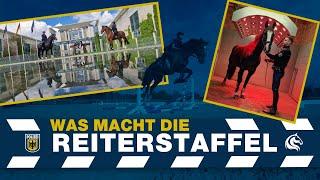 BUNDESPOLIZEI -  Was macht eigentlich die Reiterstaffel der BPOL?