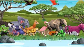 Animal Sounds Song The Animal Numbers Song | ABC Nursery Rhymes for Toddlers  Super Simple Song