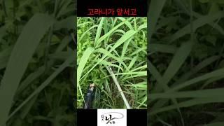 진땀 빼는 대탈출 trapped in Field of Reeds on The way to the Brook to go fishing for Spicy Fish Stew.
