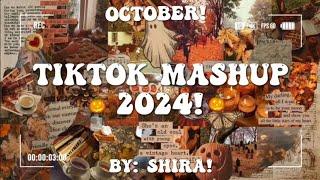 Tiktok Mashup 2024! 