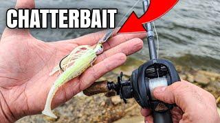 SIMPLE Chatterbait Technique Catches Spring Bass (Bank Fishing)