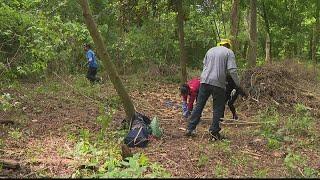 Trees Atlanta helps preserve green spaces