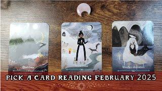 Pick A Card Tarot Reading February 2025