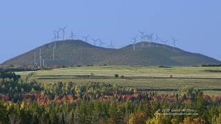 Northern Maine - Amish and Waterfowl - 4k