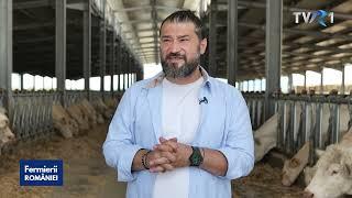 Ce fermă e mai profitabilă: de vaci de carne sau de porci? Călin Muscă răspunde!