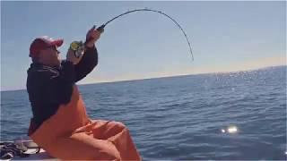 Haddock Fishing off the Coast of Maine on Jeffrey's Ledge