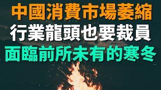 中國消費市場將逐步萎縮！行業龍頭也要裁員，現在就連實業也扛不住了。將有一半員工被迫「畢業」，整個行業面臨前所未有的寒冬。年輕人失業率高企的同時，老板也在找工作。