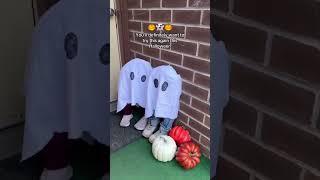 In this selection I have collected 6 great ideas for Halloween 2025 for you