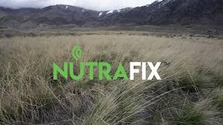 (1) NutraFix - Coldwater Wildlife Management Area - Honeyville, Utah