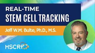 How Stem Cells are Tracked Real-time - Dr. Jeff Bulte | Maryland Stem Cell Research Fund