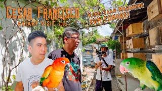 RED FACTOR SUN CONURE AT IBA PANG MGA PARROT DITO KAY KA CESAR FRANCISCO | AVIARY VISIT 2023