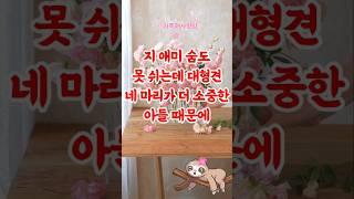 아들의 행복과 엄마의 건강 중 어느 것을 선택해야 할까요 #고민사연