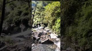 मद्महेश्वर ट्रेक का पहला Waterfall | Ransi Village | Digital Dipanand #shorts #uttarakhand