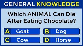 How Good Is Your General Knowledge? Take This 30-question Quiz To Find Out! #challenge 108