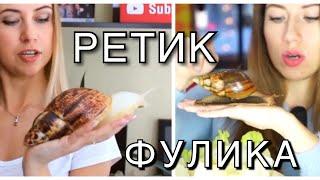 УЛИТКА Elli Di НЕ ВЫРАСТЕТ. МОЙ РЕТИК & ФУЛИКА Elli Di