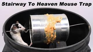 How To Make The STAIRWAY TO HEAVEN Mouse Trap in 15 Minutes. Simple and effective. Mousetrap Monday