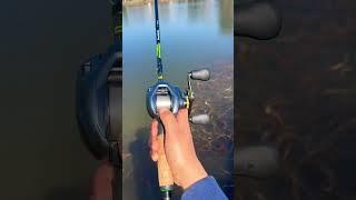 Shimano Curado DC Casting Sound #fishing