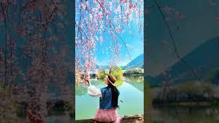 아줌마들의 봄꽃놀이 #영산만년교#영산연지못#북면자연농원 창녕점 #남지개비리길#남지 soopeel커피숍#낙동강 강변길#드라이브#힐링