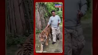 Tiger Attacks Indian Tourist at Thailand's Tiger Kingdom | Shocking Viral Video!