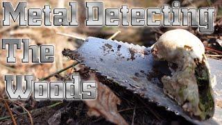 Metal Detecting 1800s Homesites with Equinox and Simplex | Big News Announced