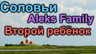 Соловьи и Aleks Family in USA. Второй ребенок. Строительство дома