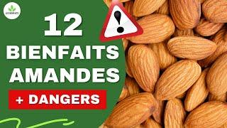 AMANDES: LES BIENFAITS ET DANGERS CACHÉS POUR LA SANTÉ