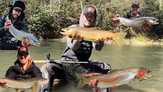 NONSTOP 20+ INCH TROUT (Browns and Rainbows)