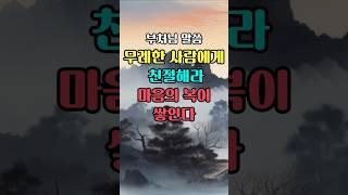 무례한 사람을 미워하지 마라 친절해라 그럼 마음의 복이 쌓인다 | 부처님의 말씀 #부처님지혜 #석가모니명언 #불교 #인생지혜 #철학