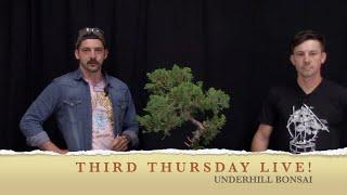 Third Thursday LIVE Junipers with Evan Pardue and Mark Coulon at Underhill Bonsai