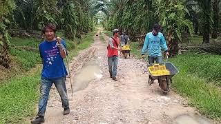 Jejak anak rantau malaysia