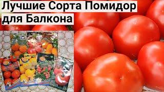 Делаю Обзор Новых Сортов Томатов. Крупные, урожайные и сладкие. Огород на балконе 2023.