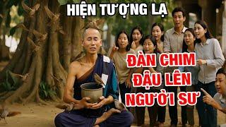 Không Ai Dám Tin – Đàn Chim Tự Bay Đến Đậu Trên Người Sư Minh Tuệ Khi Đang Ngồi Thiền