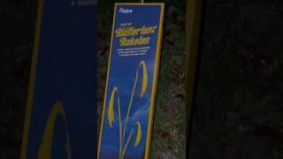 Funke Blättertanz-Raketen im Test Batch 2023 #funke #fireworks #vuurwerk #raketen #silvester