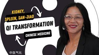 Qi Transformation in Traditional Chinese Medicine 气化